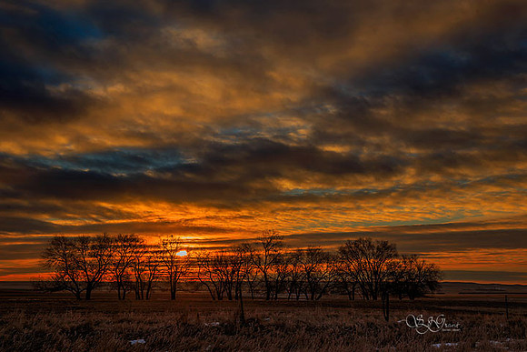 IMG_8616-HDR-web